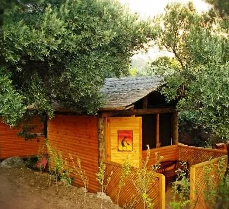 The Shambala Camping *