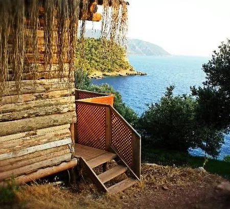 Camping The Shambala *