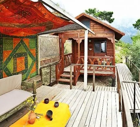Camping The Shambala *