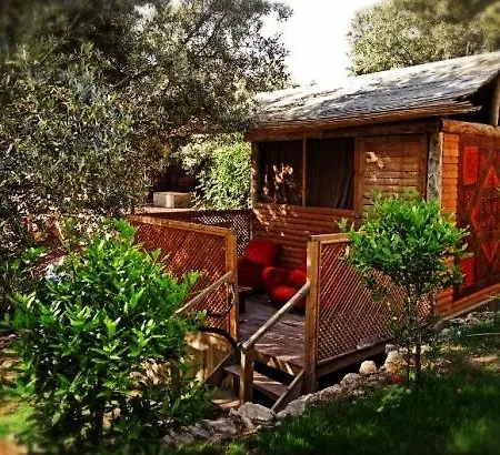 Campsite The Shambala *