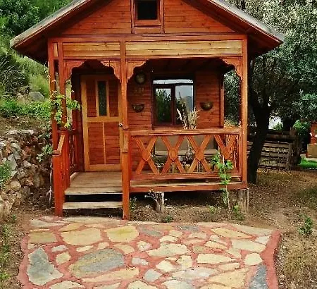 The Shambala * Mugla